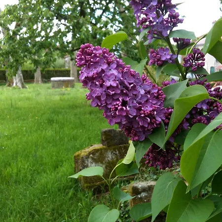 Cote Campagne Pierrefaites