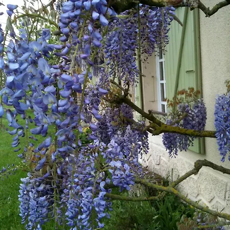 Feriehus Cote Campagne Pierrefaites